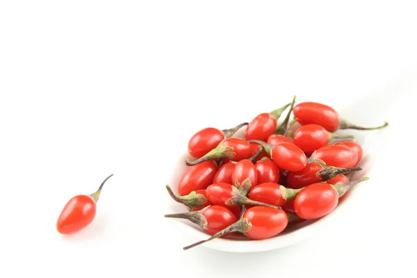 Composition Fresh Goji Berries White Porcelain Spoon Isolated White Background — Stock Photo, Image