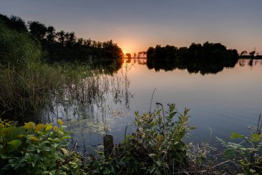 Bitkiler ön planda küçük bir göl günbatımı