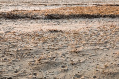hafif kum Bremerhaven beach üzerinde