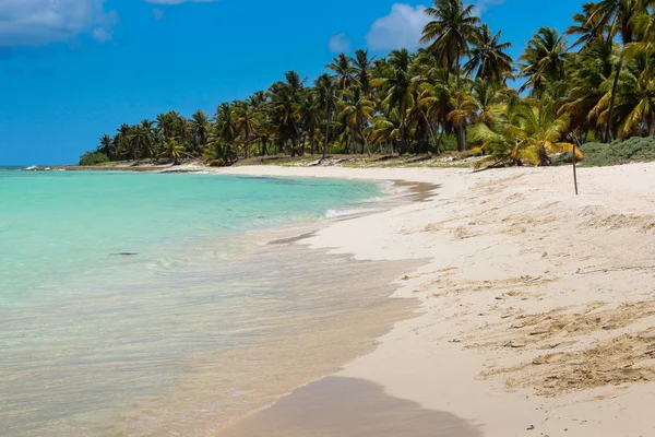 Fantástica Vista Palmeras Mar Caribe — Foto de Stock