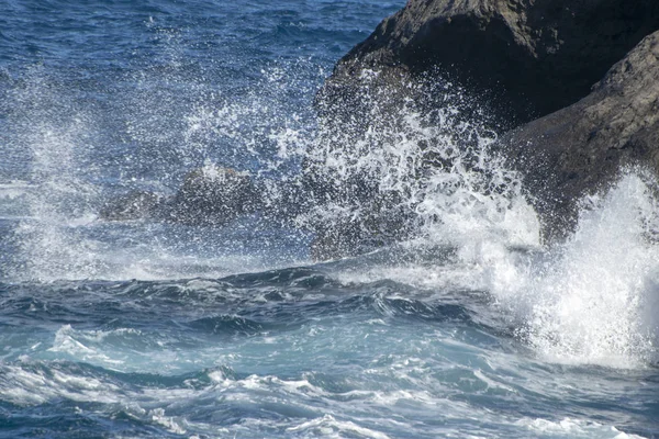 Güzel bir deniz kıyısı. Dalga. Kaya. Sprey