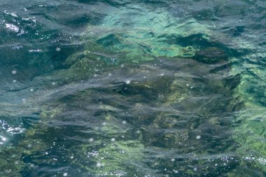 Atlantik Okyanusu. Berrak okyanus suyu