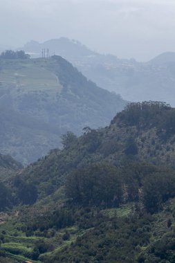 Dağın tepesinden Panarama. Dağlar, bulutlar, vadide bir köy, bir dağ yolu, dağ çiçekleri, ufukta okyanus