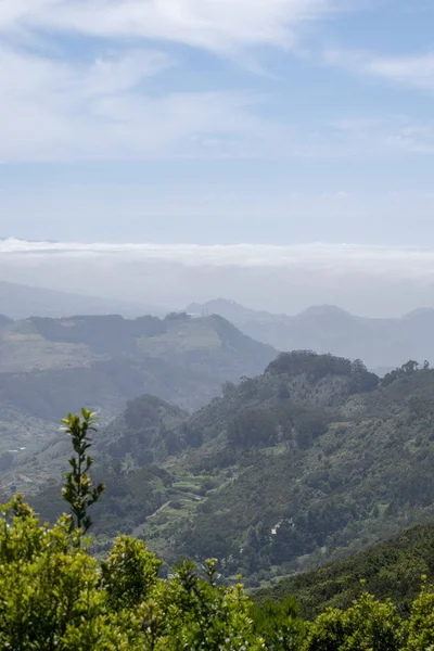 Dağın tepesinden Panarama. Dağlar, bulutlar, vadide bir köy, bir dağ yolu, dağ çiçekleri, ufukta okyanus