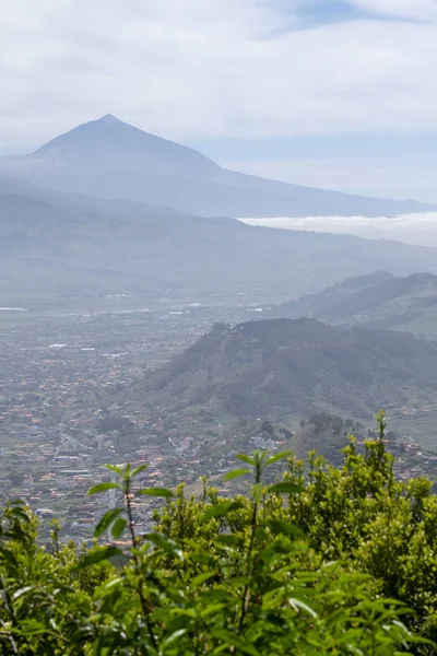 Dağın tepesinden Panarama. Dağlar, bulutlar, vadide bir köy, bir dağ yolu, dağ çiçekleri, ufukta okyanus