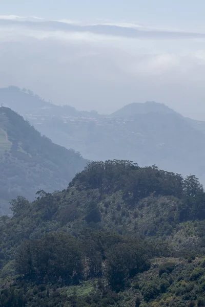 Dağın tepesinden Panarama. Dağlar, bulutlar, vadide bir köy, bir dağ yolu, dağ çiçekleri, ufukta okyanus
