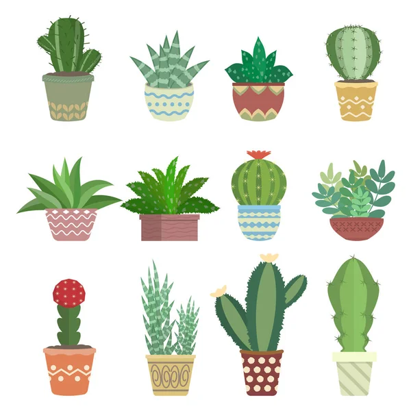Cactus Colección Conjunto Ilustración — Vector de stock