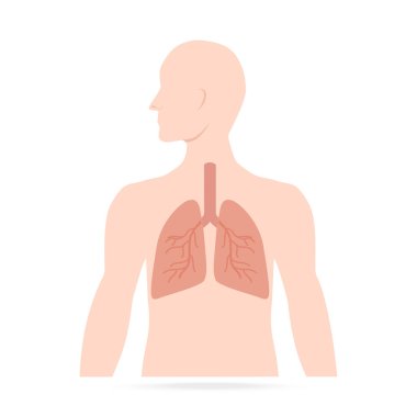 Vücut simgesi olan akciğerler, tıbbi konsept çizimi