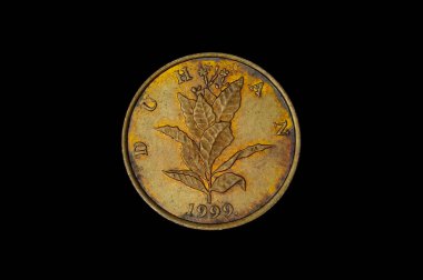 10 Lipa eski Hırvat sikke koyu arka plan üzerinde izole