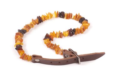 Evcil hayvan olarak kene kovucu için ham amber boncuk yaka beyaz arka plan üzerinde izole