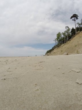 Hollandalı şapka (Olando kepure) Karkle veya Klaipeda Litvanya yakın bulunan beach