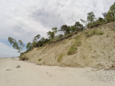 Hollandalı şapka (Olando kepure) Karkle veya Klaipeda Litvanya yakın bulunan beach