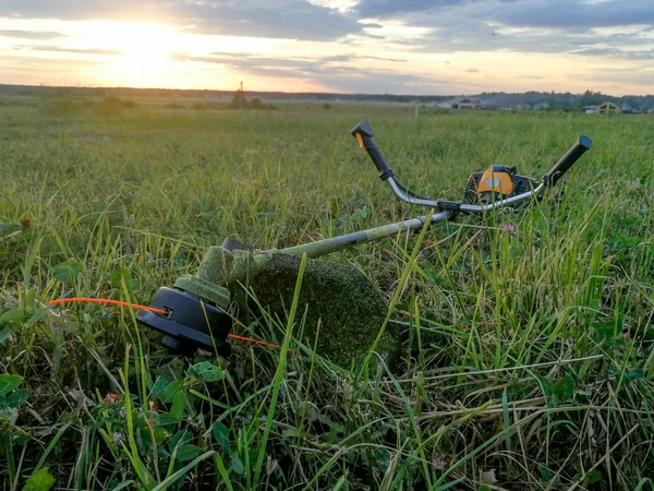 Benzinu Trávu Strunová Profesionální Zahradnické Nástroje Pokosené Trávy — Stock fotografie