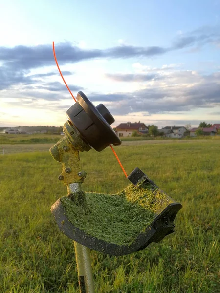 Benzin Rasentrimmer Professionelles Gartenwerkzeug Auf Gemähtem Gras — Stockfoto