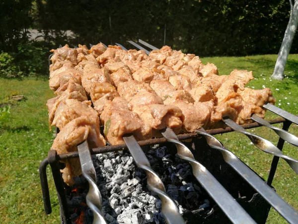 Saslykai Oder Shashlyk Grillen Auf Einem Grill Über Holzkohle Traditionelles — Stockfoto