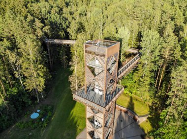Laju takas, any ksciai, Litvanya 'daki ağaç tepesi yürüyüş kulesi.