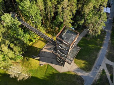 Laju takas, any ksciai, Litvanya 'daki ağaç tepesi yürüyüş kulesi.