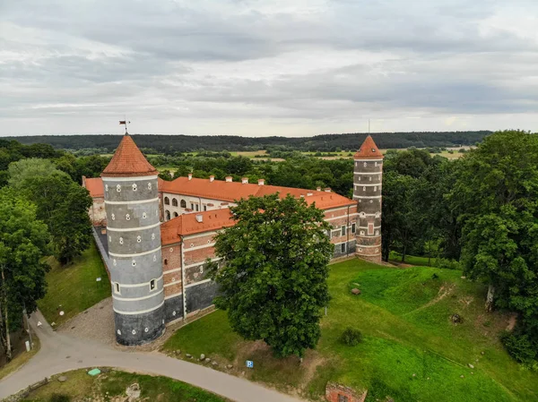 Castillo Histórico Panemune Vytenai Distrito Jurbarkas Lituania Cerca Del Río — Foto de Stock