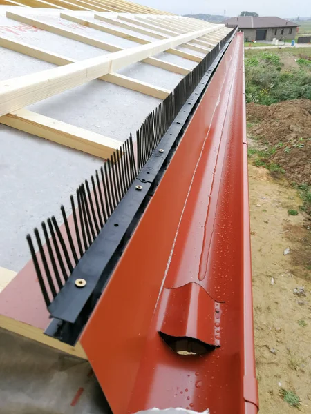 Gutter with downpipe for rain water collection  on the house under construction in construction site