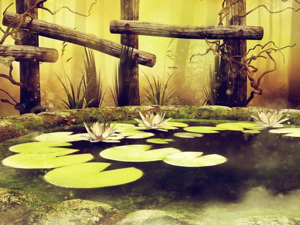 五颜六色的池塘在森林与绿色漂浮的叶子和白色花 — 图库照片
