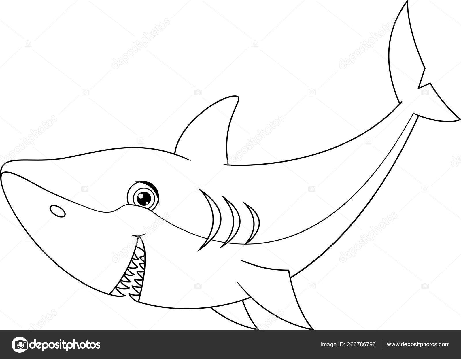 7800 Cartoon Shark Coloring Pages Pictures 7800 Cartoon Shark Coloring Pages Pictures