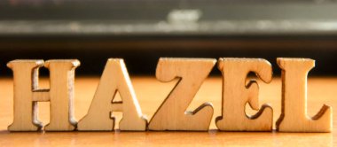 Kelime 'fındık' ahşap harflerin yaptı. tablo üzerinde ahşap yazıt