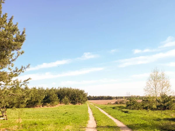 Fältet Road Vackert Landskap Landsbygden — Stockfoto