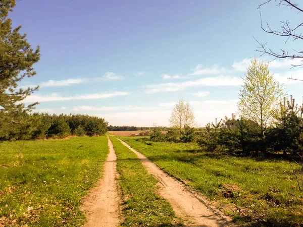 Fältet Road Vackert Landskap Landsbygden — Stockfoto