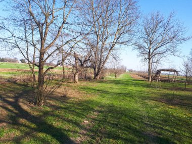 yol, ağaçlar, yeşil çim ve tarıma elverişli alanlar