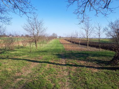 yol, ağaçlar, yeşil çim ve tarıma elverişli alanlar