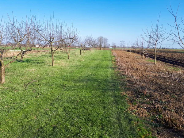 yol, ağaçlar, yeşil çim ve tarıma elverişli alanlar