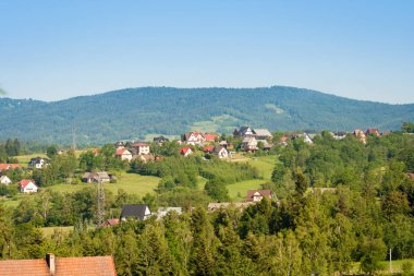Tepenin üzerinde bulunan ağaçlar ve çalılar arasında evler