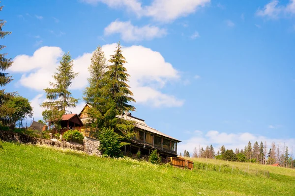 Krásná Krajina Polských Horách Zelená Tráva Dům Stromech Pozadí Tatrách — Stock fotografie