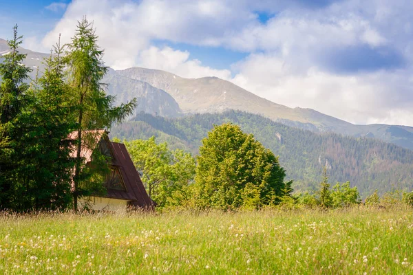 一幅美丽的波兰山脉风景 树上的一座房子 在阳光明媚的夏日 Tatra 山的背景下 — 图库照片