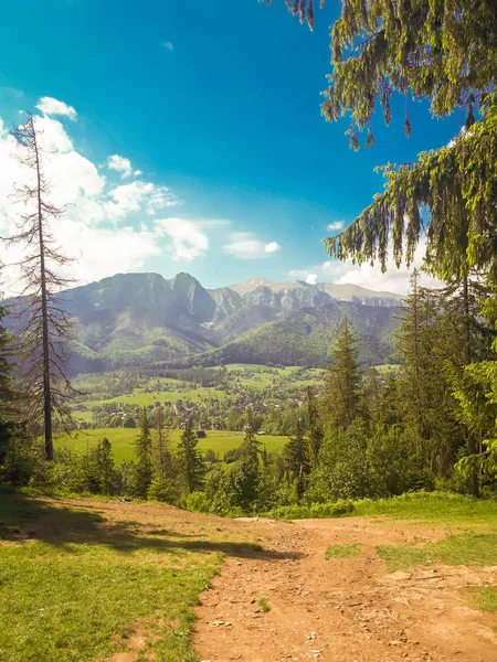 在波兰 Gubalowka 的路上有山的景色 Tatra 山山上阳光明媚的夏日美景 — 图库照片