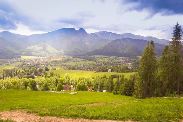 Tatra 山脉的景色 在前景 绿色的草和树木 — 图库照片
