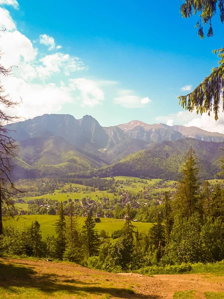 美丽的风景在山上 绿草和树木 在背景山上的地平线上 — 图库照片