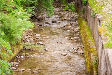 Dağ dere yalak. Yeşilliklerle dolu. Tam görünür taş
