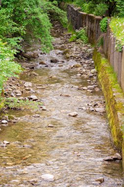 Dağ dere yalak. Yeşilliklerle dolu. Tam görünür taş
