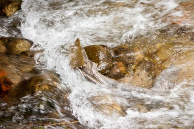 Bir dağ dere içinde su üzgün. Taşlar karşı çökmesini nehir su seviyesi.