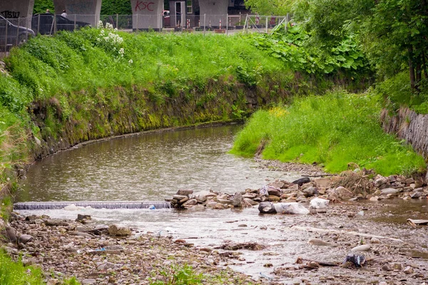 Een Mooie Bergbeek Stroomt Rivierbedding Zichtbare Stenen Rivier Groen Gras — Stockfoto