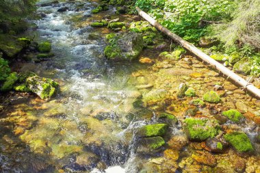 Şelale akan suları ile bulanıklık içinde. Suları taşlar