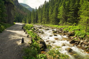 Polonya Koscielisko Vadisi'nde giderken gördüm bir dağ dere