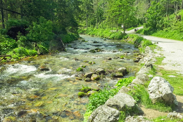 Polonya Koscielisko Vadisi'nde giderken gördüm bir dağ dere