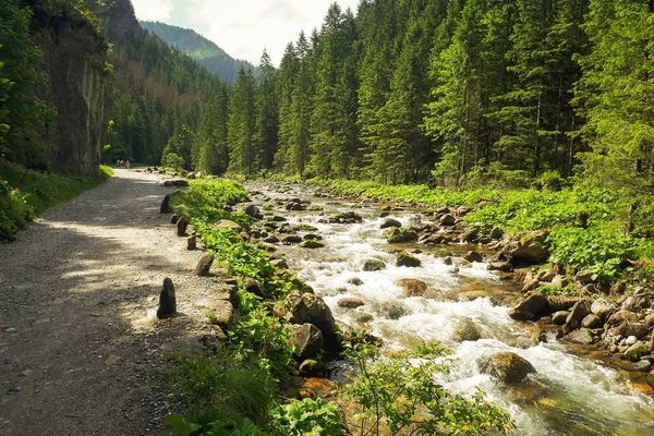 Polonya Koscielisko Vadisi'nde giderken gördüm bir dağ dere