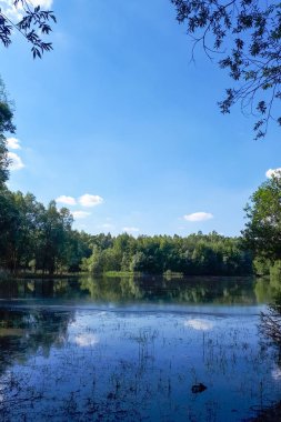 Ahşap ve beyaz bulutlar mavi gökyüzünde bir göl yansıtılmış suya yansıyan