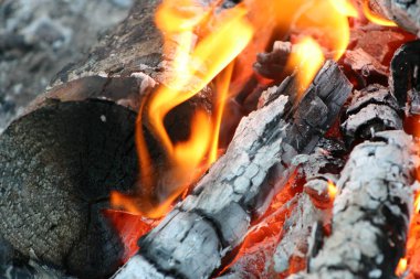 Yanma ve ahşap günlükleri Sigara