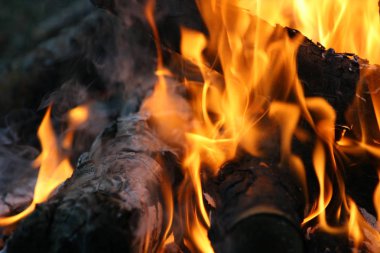 Kamp ateşi yangın alevleri yakın çekim