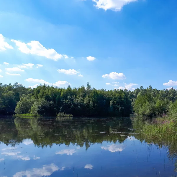 Trä Och Vita Moln Den Blå Himlen Återspeglas Speglade Vattnet — Stockfoto