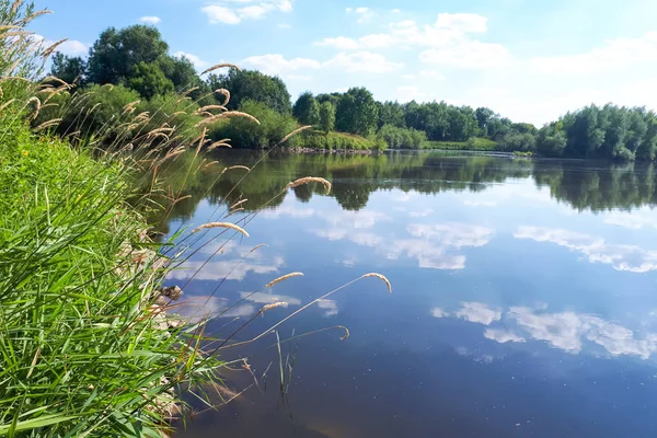 Trä Och Vita Moln Den Blå Himlen Återspeglas Speglade Vattnet — Stockfoto